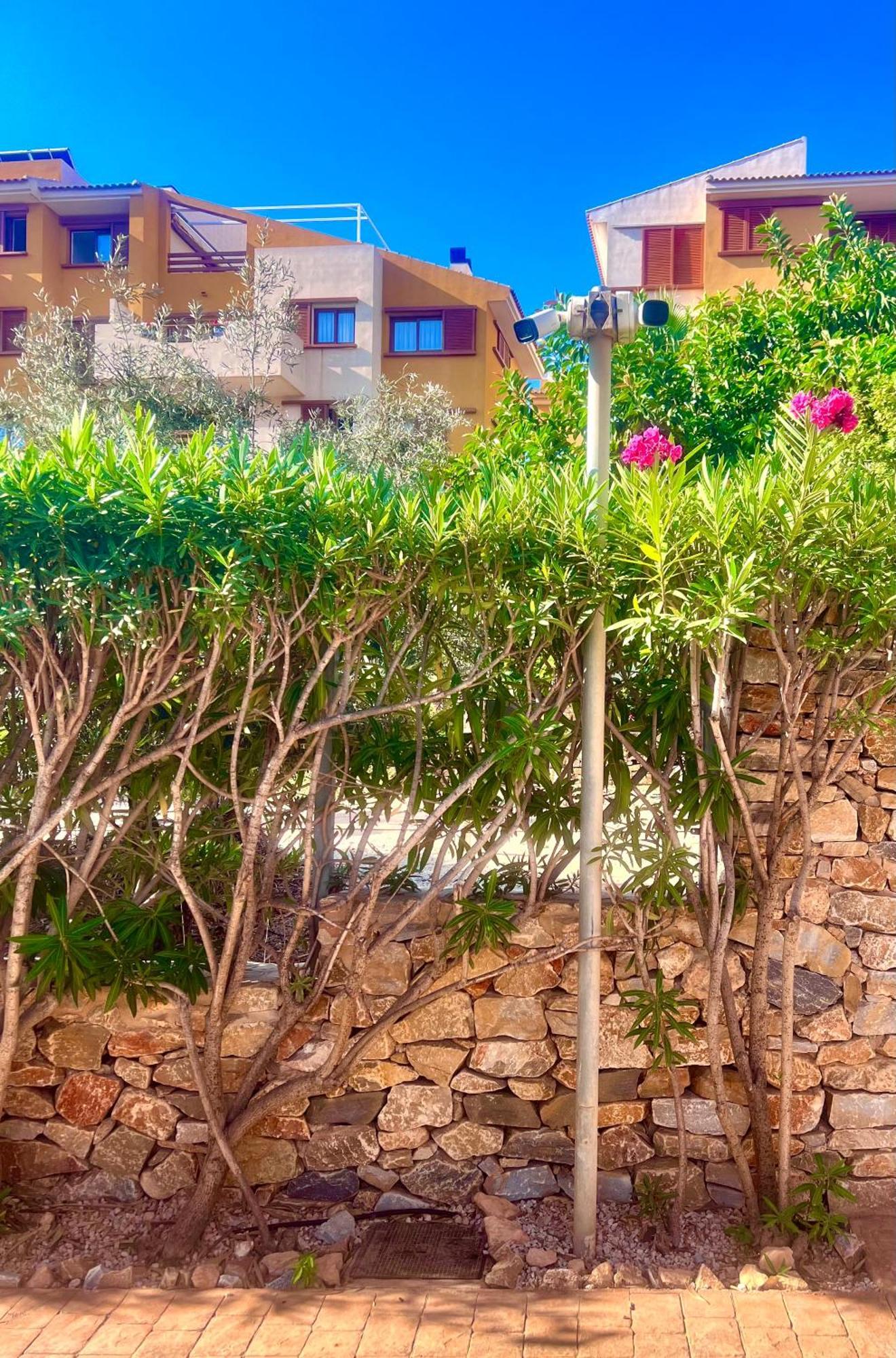 Апартаменты Torrevieja 200M From Sea Punta Prima Аликанте Экстерьер фото